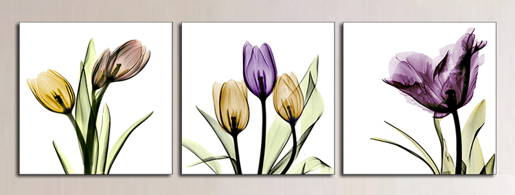 tranh treo tuong hoa tulip x- ray nghe thuat