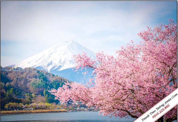 Tranh treo tường khổ lớn hoa anh đào Nhật Bản Amia 991