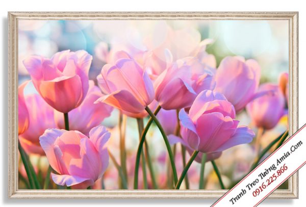 tranh in canvas hoa tulip trong nang dep